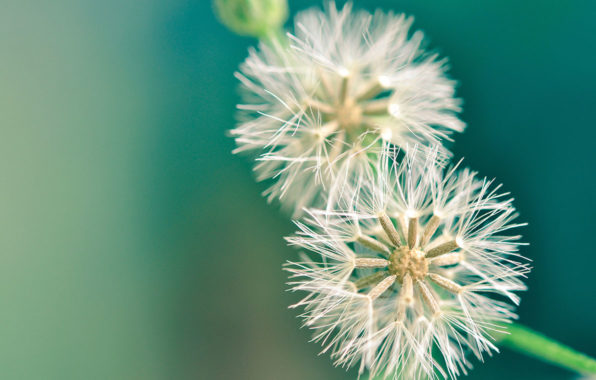 Birth – When the Spiritual and the Material Come Together