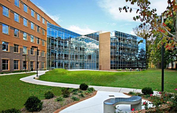 New Endowed Professorship Established by Shari Arison